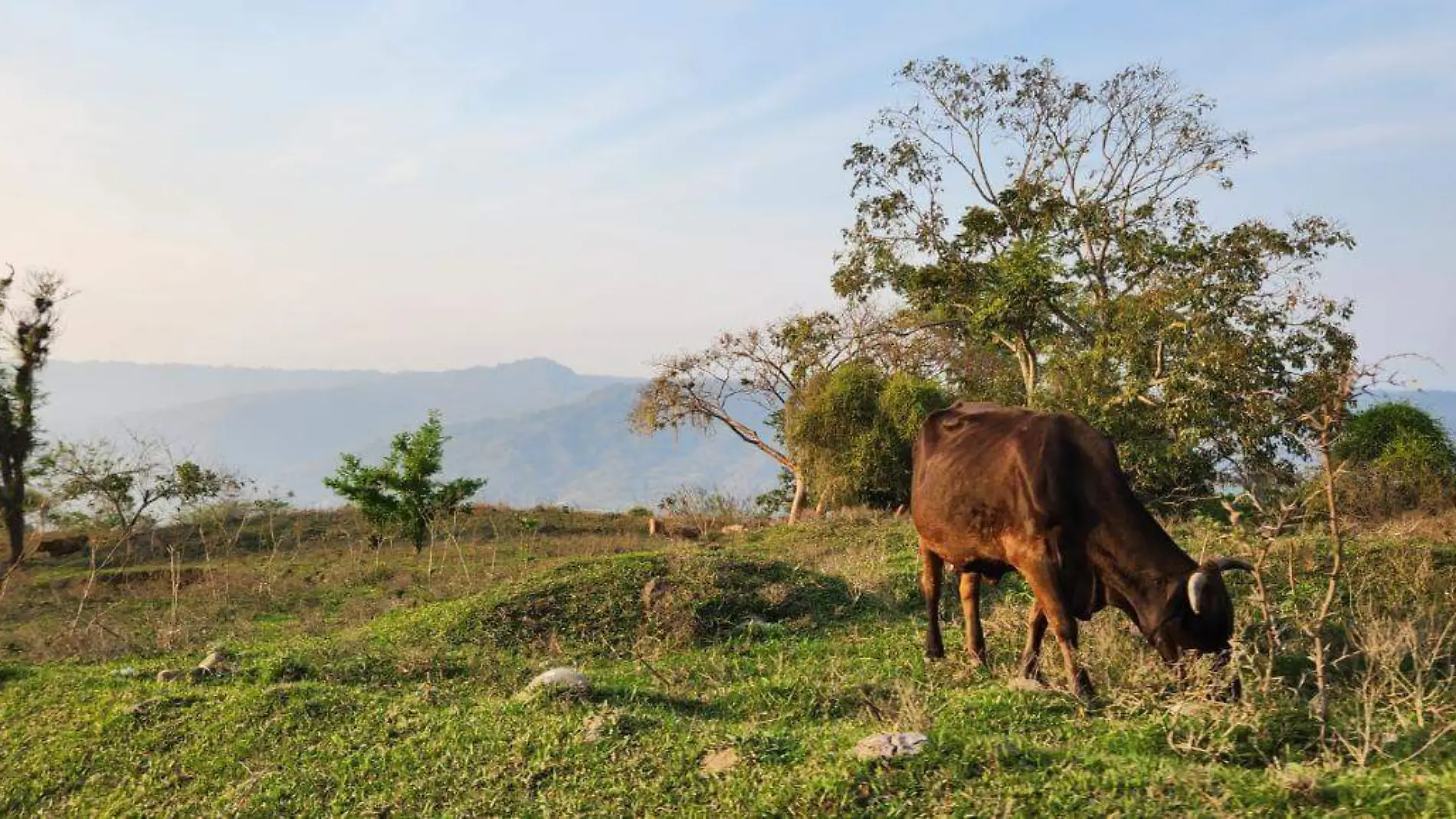 CAMPO SIERRA NORTE 01 HH